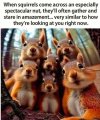 IMG_2016.jpeg