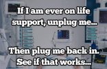 IMG_2022.jpeg