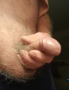 20231107_215513.jpg