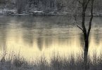 IMG_2591.jpeg