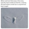IMG_2074.jpeg