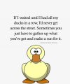 IMG_8535.jpeg