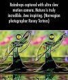 IMG_8787.jpeg