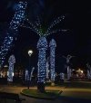 IMG_2130.jpeg