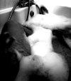 IMG_20231129_095746.jpg