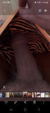 Screenshot_20231219_225440_Gallery.jpg