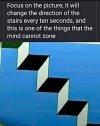 IMG_2210.jpeg