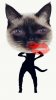 243DFE2A-DDD4-428A-9227-1C0A1055F7B4.jpeg