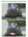 IMG_2353.jpeg