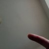 17073216328494022963145997221837.jpg