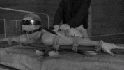 cdc69f8362b80b9b36881844a3bc4e09cab6e02449f942a8.gif