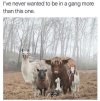 IMG_2567.jpeg