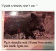IMG_2569.jpeg