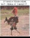 IMG_2507.jpeg