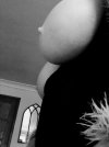 IMG_20240331_104022~2.jpg
