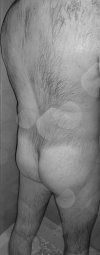Photo10.JPG