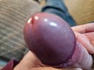 20240415_093908.jpg