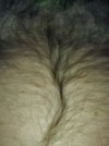 20240428_024231.jpg
