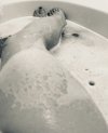 IMG_1968.jpeg