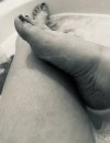 IMG_1966.jpeg