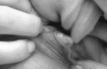 9436DCD.gif