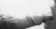 1720290239232.gif