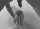 1000028148.gif