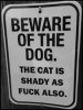 61fef4aa7c05ff23a3e3352c4fa87d98--so-funny-funny-shit.jpg