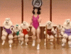 q1-4.gif