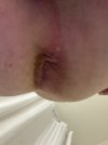 IMG_2501.jpeg