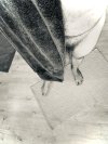 IMG_2426.jpeg