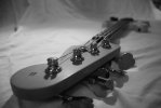 IMG_2517.jpeg