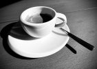 IMG_2558.jpeg
