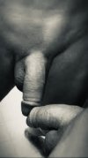 IMG_3754.jpeg