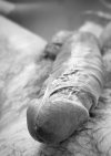 IMG_2780.jpeg