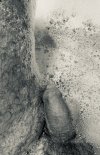IMG_2760.jpeg