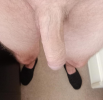 cock today.png2.png
