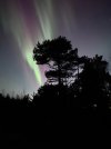 IMG_4448.jpeg