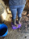 IMG_0315.jpeg