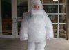 bubble-wrap_orig.jpg