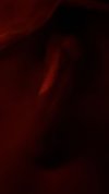 IMG_1292.jpeg