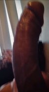 IMG_1092.jpeg