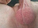 cock today.jpg3.jpg