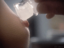 IMG_0695.gif