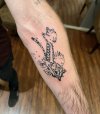 IMG_0701.jpeg