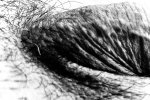 IMG_4333.jpeg