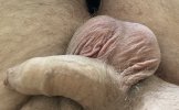 IMG_1284.jpeg