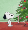 giphy (2).gif