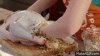 giphy (1).gif