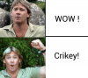 wow-crikey-wow-lt-crikey-43161578-1.png